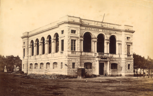 Stazione_Zoologica_di_Napoli_(1879)_Lb_4_22