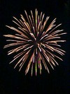 Spider-Firework-Omiya-Japan