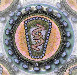 hiv-schemagrafik/Los Alamos National Laboratory