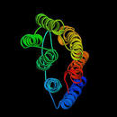 bacteriorhodopsin/ Quelle: http://creativecommons.org/licenses/by-nc/2.0/deed.de