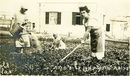 800px-PikiWiki_Israel_6467_Growing_vegetables_by_the_house