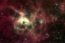 The Tarantula Nebula